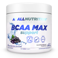 BCAA AllNutrition Max Support Instant - 250g