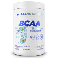 BCAA AllNutrition Max Support Instant - 500g, Bubble Gum